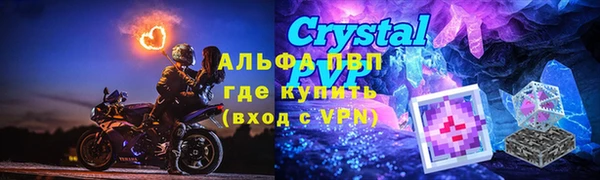 СК Абинск