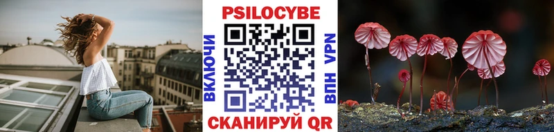 Псилоцибиновые грибы MAGIC MUSHROOMS  купить наркоту  Ачхой-Мартан 